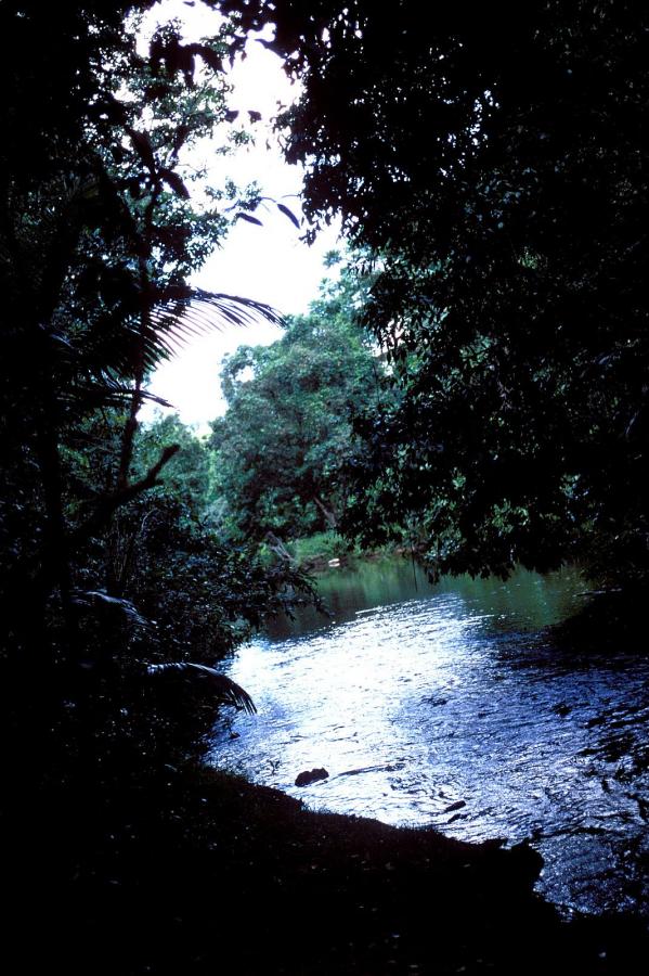 八戒八戒视频在线WWW观看-国产高潮白浆-720P免费全集观看