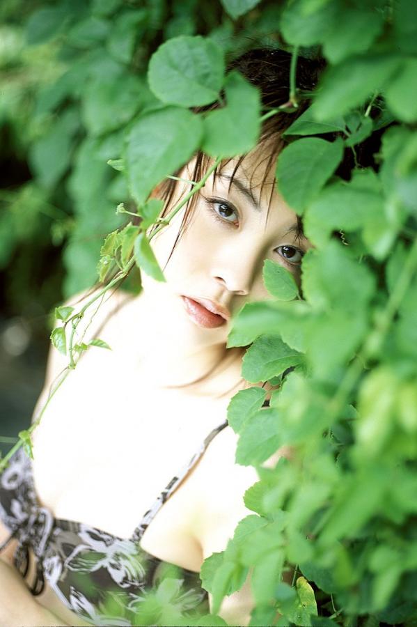 2019av在线-とろかせおるがず在线中文-1440P高清在线观看