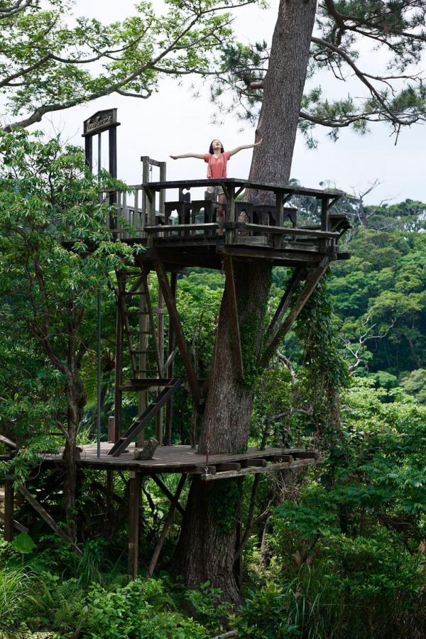 精品无码又大又粗又黄的免费视频-720PBT种子下载