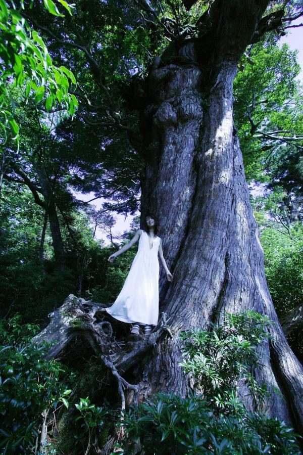 jazzjazz国产精品一区二区-4320P视频大全