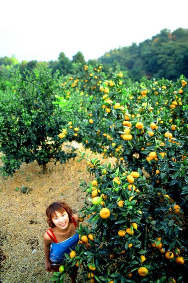 国产精品亚洲欧美日韩久久-1440P迅雷手机免费观看