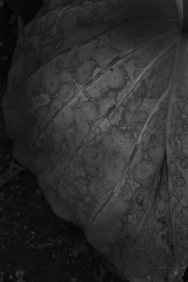 边摸边脱边吃奶边做免费-HD电影无删减版