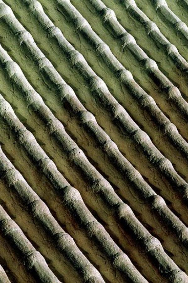 欧美老妇乱人伦A片精品4-高清中文字幕