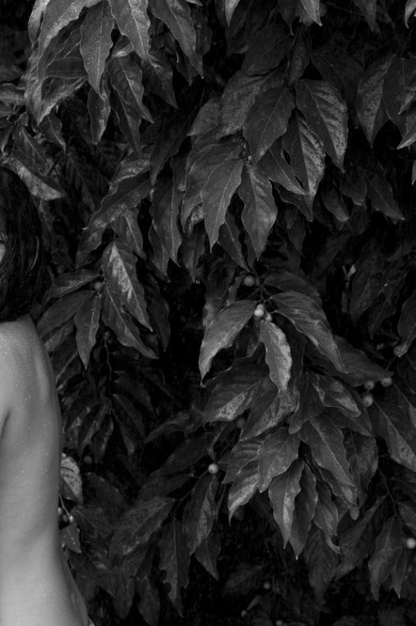 又粗又大ⅹxxxa片在线观看-720P蓝光版中文字幕包