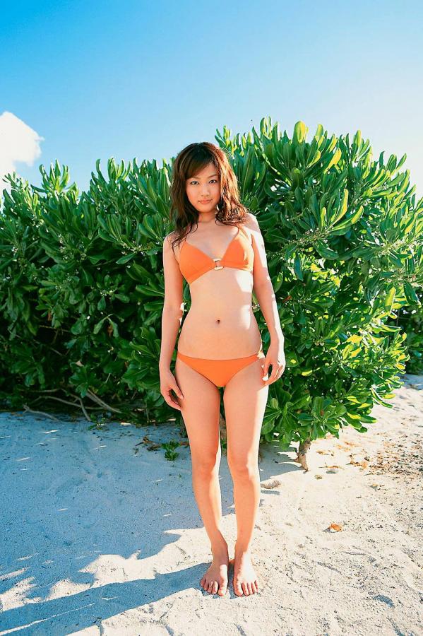 免费国产一区二区久久-SD免费在线观看