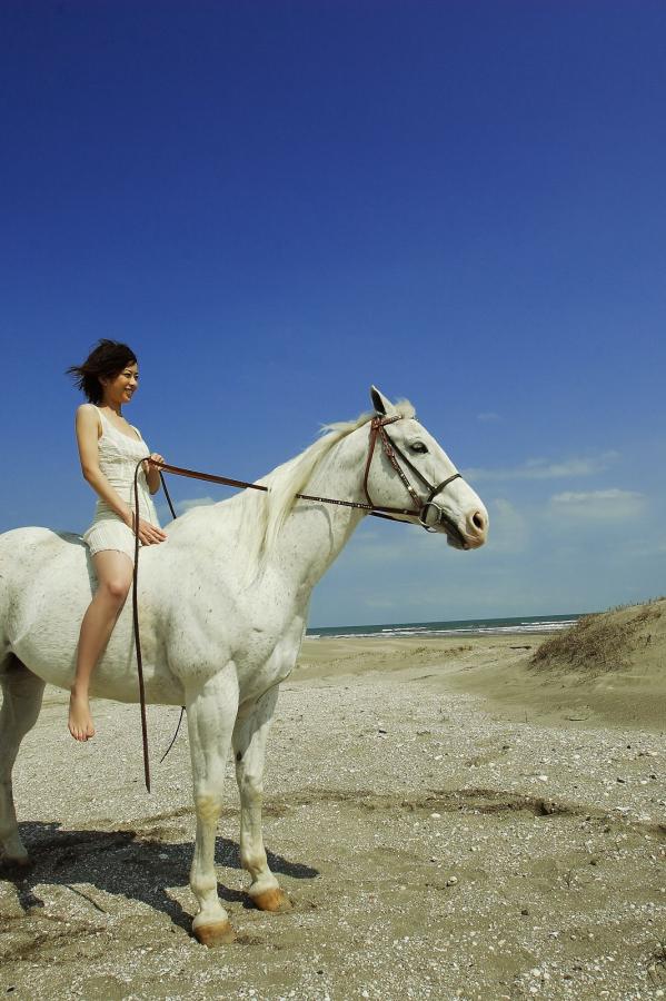 天堂av无码打芭蕉伊人av不卡-Ultra HD在线观看