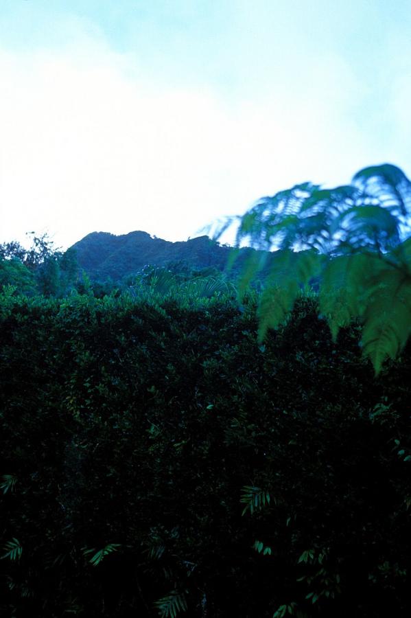 国产a级三级三级三级-白俄罗斯毛茸茸bbwbbw-久久亚洲AⅤ无码精品色午夜91-720P国产在线观看