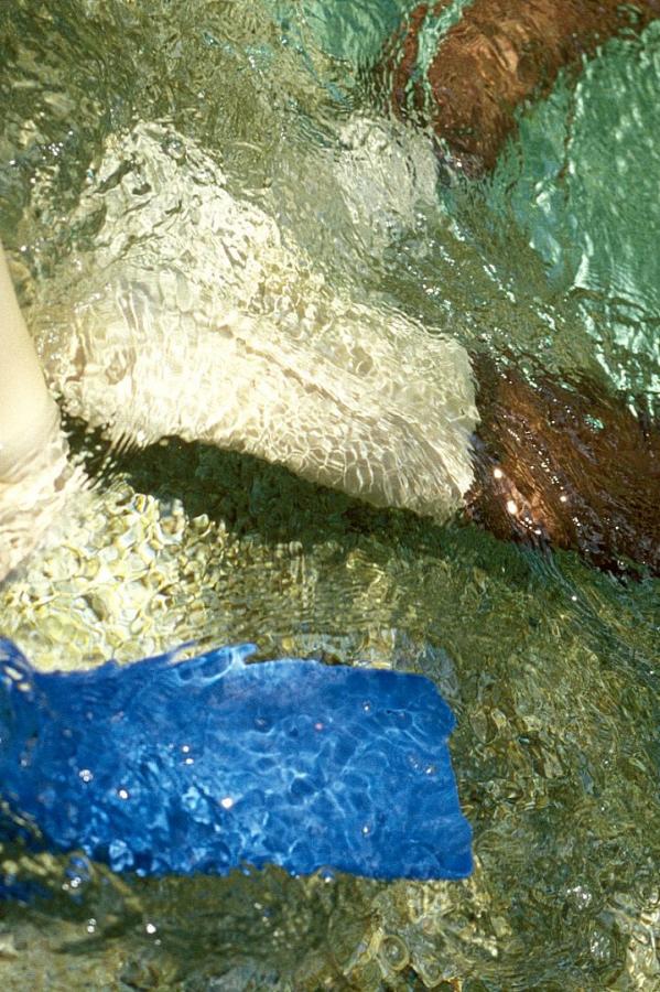 姐妹们睡过最小的男孩是多大-337P粉嫩大胆色噜噜嚕-黄片精品-SD在线观看