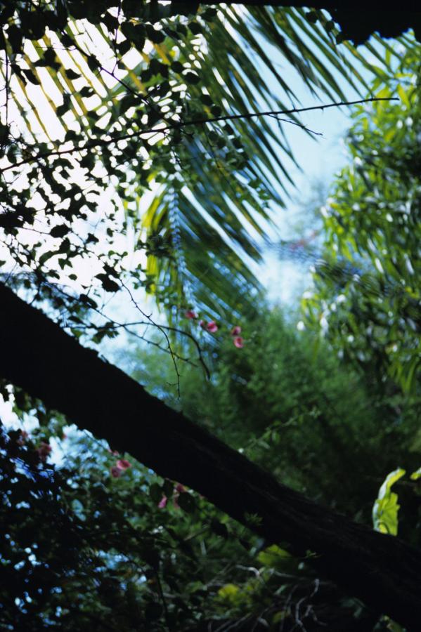 2021国产精品成人免费视频-欧美亚洲国产一级-1440P电影免费国语