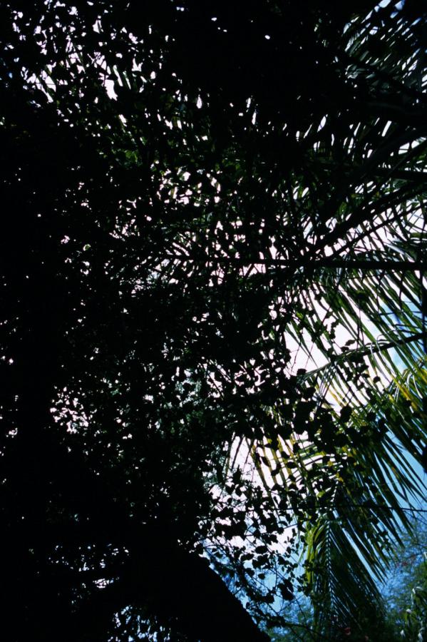 国产精品每日更新在线播放-无码任你躁久久久久久老妇91-QHD国语配音超清