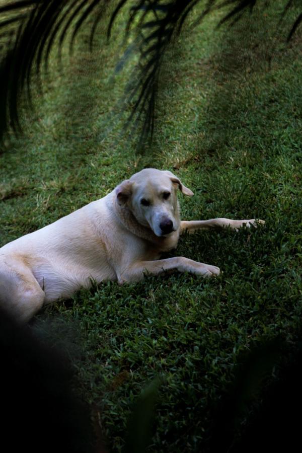 91区在线观看-标清国语版高清