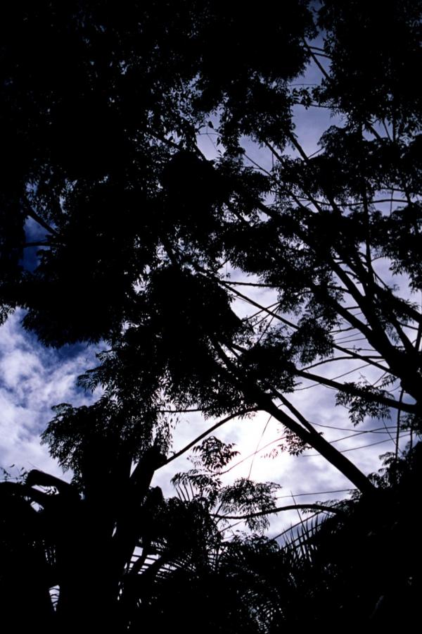 国产乱码久久久久久-标清在线手机观看