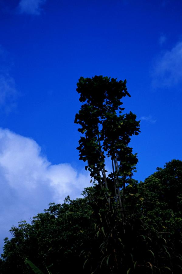 av理论片在线看-男女真人后进式猛烈qq动态图-欧美黑人又大又粗xxxⅹ-HD未删减完整版