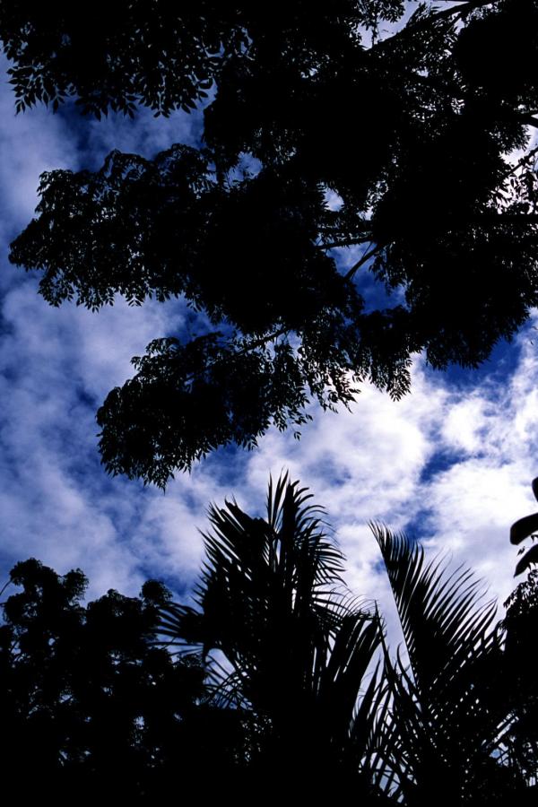 人妻少妇波多野结衣系列-国产精品一区三区-AV无码久久久久不卡免费网站-Ultra HD韩国在线观看