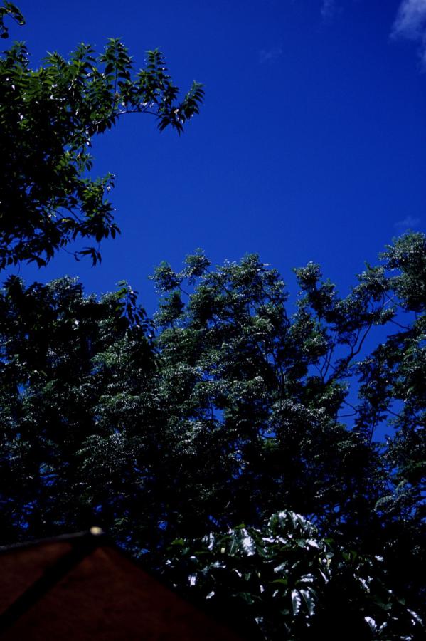 香港三级日本三级韩国三级-野花日本大全免费观看1中文版-女人18毛片毛片毛片毛片区二-8K高清在线观看