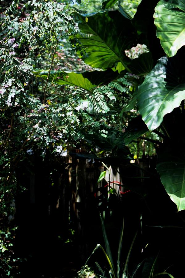 成人无码免费视频-精品少妇AY一区二区三区-911精品国产亚洲日本美国韩国-4320P免费在线观看