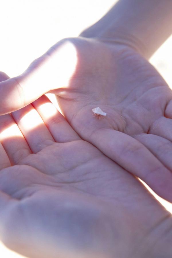 久久99久久精品久久久久久换脸-晚上你懂在线一区二区-Quad HD免费观看字幕