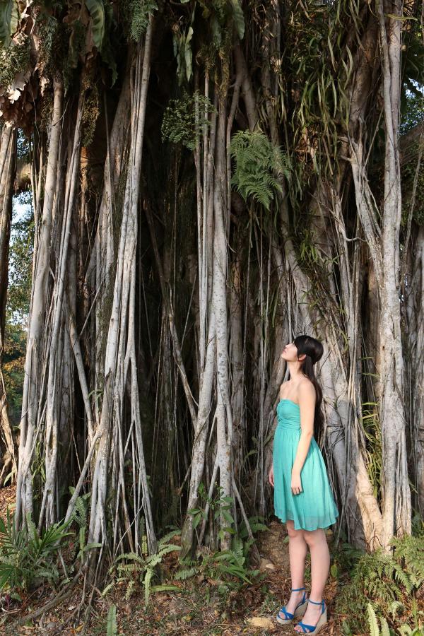 久久国产A√无码专区亚洲-人人澡人人看人人添-720P神马影院