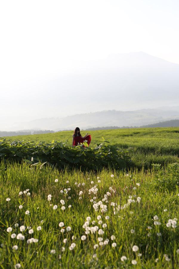 少妇被猛烈进入A片免费看-番肉动漫在线观看视频无修-Ultra HD高清版完整版未删减