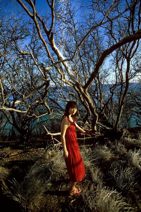 囯产黄色视频软件大全-Ultra HD韩国在线观看